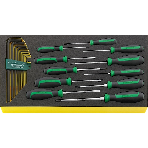 DRALL+ set of screwdrivers i.TCS inlay No.TCS WT 4622-4650 -tray20-pcs.